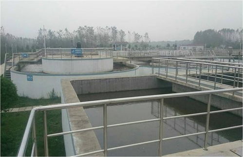重点流域水污染防治项目网上公开巡查之四十一 河南省固始污水处理厂二期 改扩建 工程项目进展情况