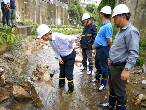 园山街道书记带队检查街道汛期安全工作及督导水污染治理工程相关工作