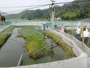 汤泉乡开展 中华人民共和国水污染防治法 执法检查