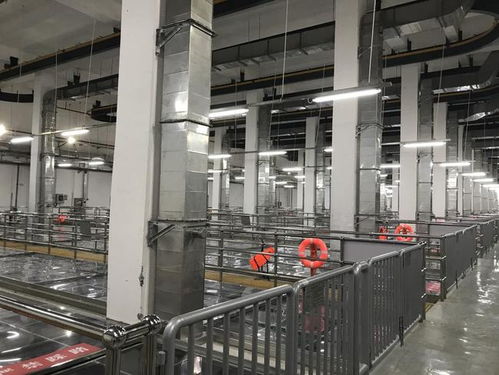 农发行广东省分行营业部发放9412万元水利建设贷款用于支持广州水污染治理