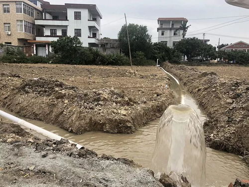 渔溪镇 不断补齐治水短板 提升水污染防治能力