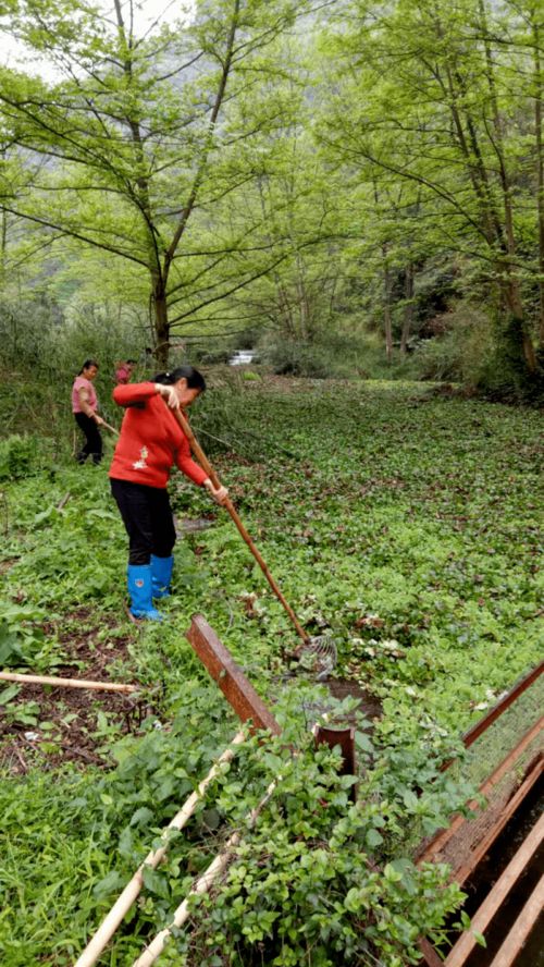 变化太大 广西这些地方水秀景美,有你家乡吗