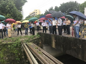 我市召开全国人大常委会水污染防治法执法检查发现问题和省生态环境厅回访调研发现问题整改推进会议