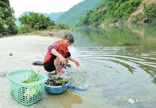 鹿寨县2018年水污染防治工作取得新成效